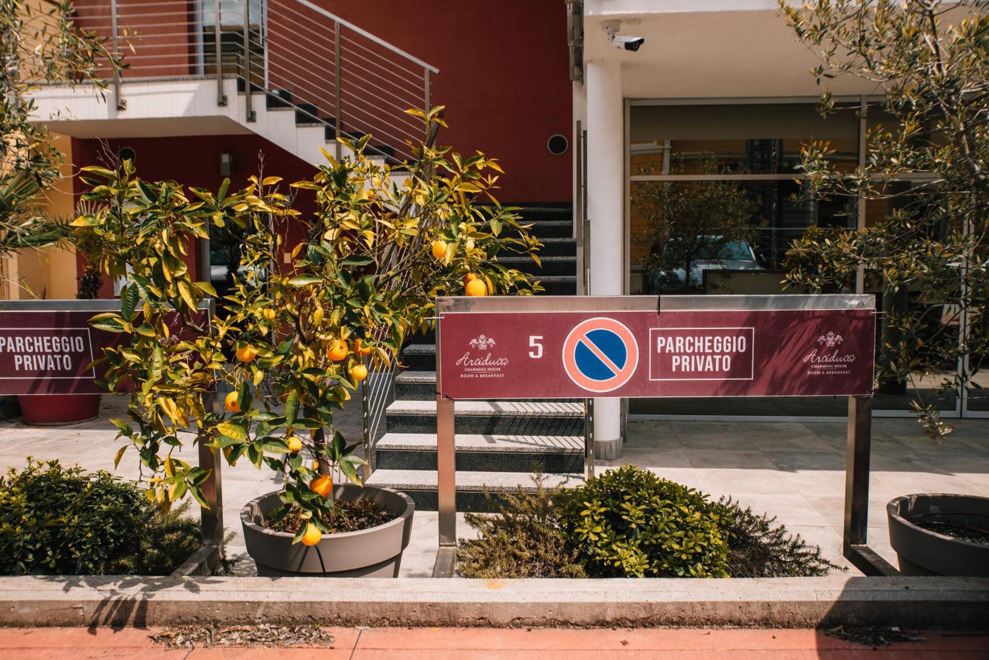 Arciduca Charming House Room & Breakfast Arco Ngoại thất bức ảnh